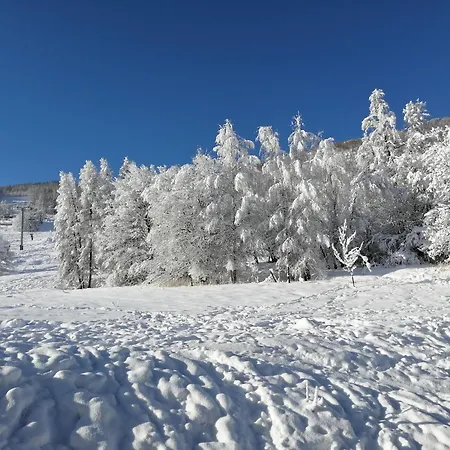 à La Montagne Ou Au * Allos